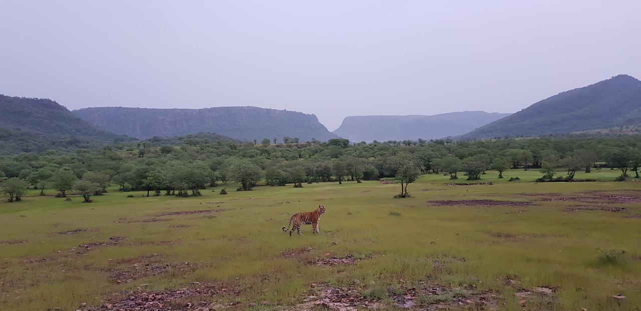 Travel Soul Bed & Breakfast Sawai Madhopur Bagian luar foto